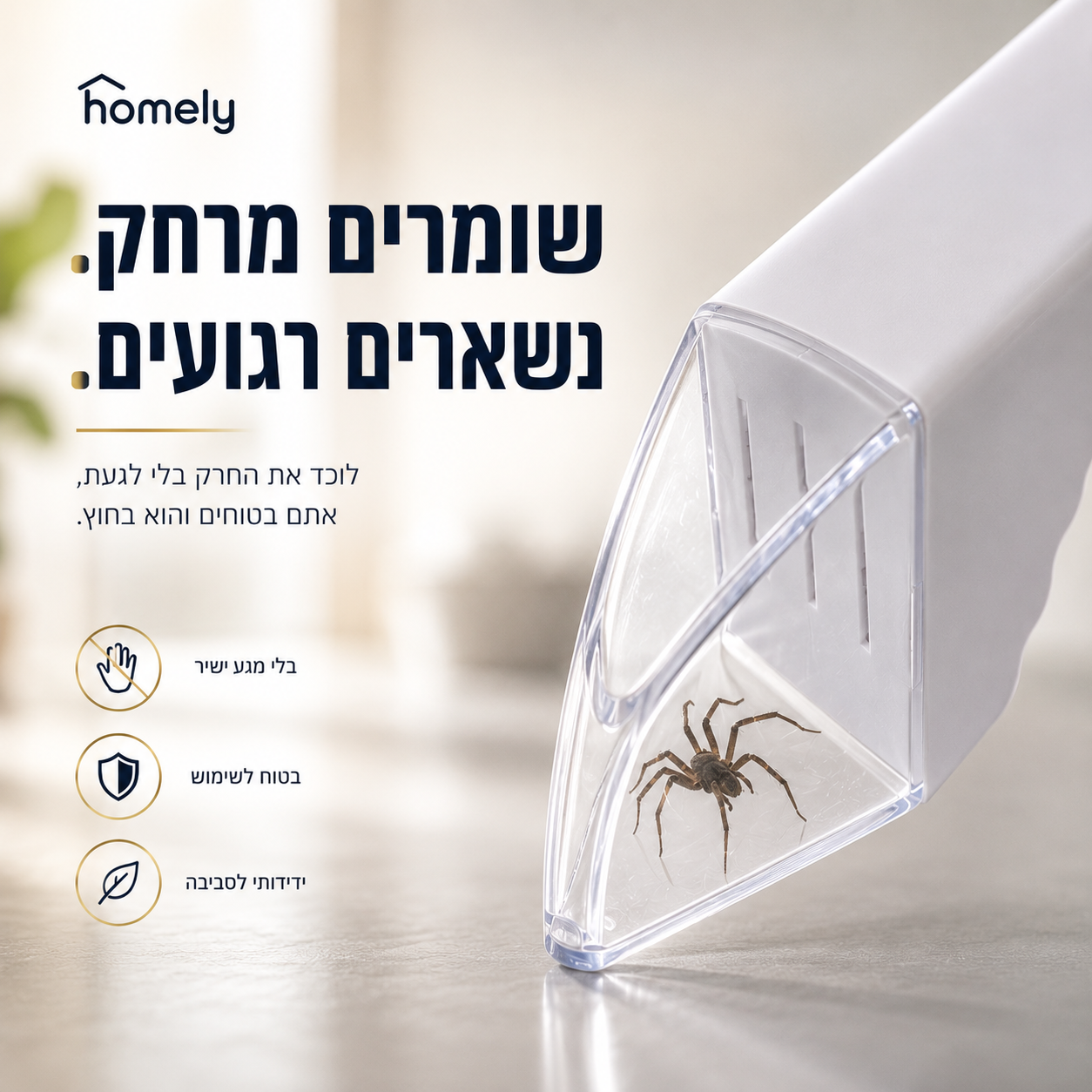 לוכד החרקים | HOMELY